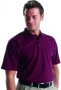 Dickies Polo Shirts
